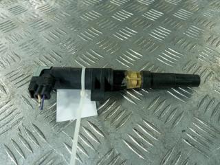 катушка зажигания Renault Scenic 2 поколение 2005, цвет