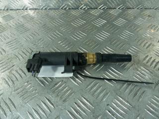 катушка зажигания Renault Scenic 2 поколение 2005, цвет