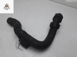 патрубок радиатора Volkswagen Passat B5 [рестайлинг] 2000, 1.9 л., дизель, 8D0121101AD