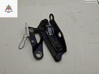 петля капота правая Volkswagen Sharan 1 поколение [рестайлинг] 2002, синий, минивэн, 7MO823302D