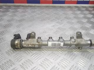 топливная рампа Volkswagen Golf 6 поколение 2011, 2.0 л., TDi CR, дизель, МКПП, хетчбэк 5 дв., 03L130089P