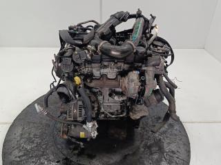 двигатель Ford Focus 2 поколение 2006, цвет, G8DB