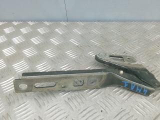 петля капота Audi Q7 4L 2006, 3.0 л., D TDI, дизель, АКПП, внедорожник 5 дв.