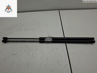 амортизатор крышки багажника (3-5 двери) Renault Scenic 1 поколение [рестайлинг] 2002, 2.0 л., бензин, АКПП, красный, минивэн, 2283NR