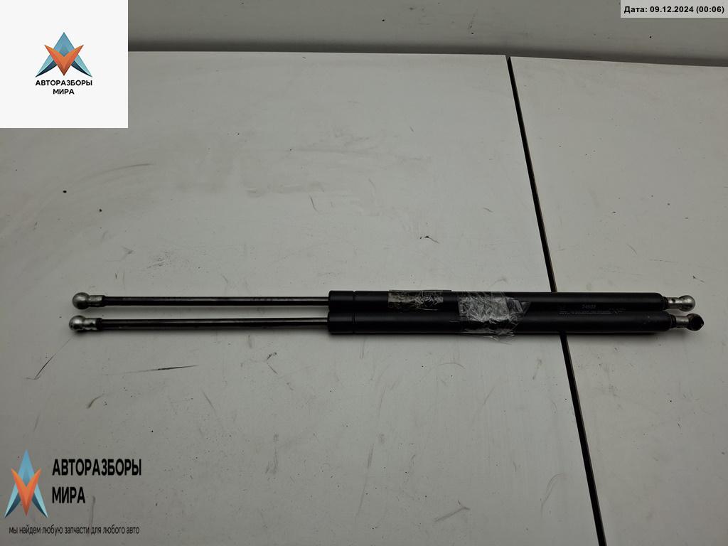 амортизатор крышки багажника (3-5 двери) Renault Scenic 2 поколение 2005, 1.9 л., дизель, МКПП, серый, минивэн, 24602 - фото №1