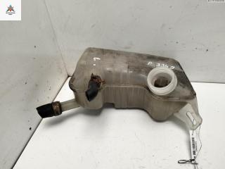 бачок расширительный Renault Scenic 2 поколение [рестайлинг] 2008, 2.0 л., бензин, 8200262036