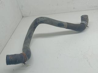 патрубок радиатора Ford Focus 1 поколение 2000, 1.6 л., i, бензин, 98AB8B274AH