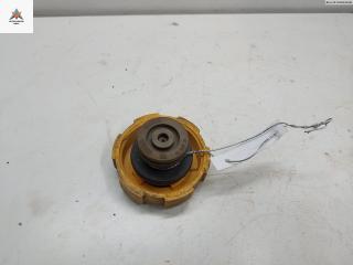 пробка расширительного бачка Opel Astra H/Family [рестайлинг] 2005, 1.6 л., бензин, МКПП, синий, универсал