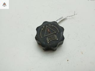 пробка расширительного бачка Fiat Scudo 1 поколение 2000, 1.9 л., дизель, МКПП, белый, фургон