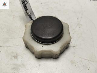 пробка расширительного бачка Renault Laguna 1 поколение [рестайлинг] 1999, 1.6 л., бензин, МКПП, серый, хетчбэк 5 дв., 7700805031
