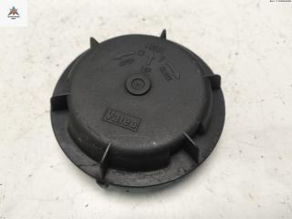 крышка фары Renault Scenic 1 поколение [рестайлинг] 2002, 2.0 л., бензин, АКПП, красный, минивэн, 89001811