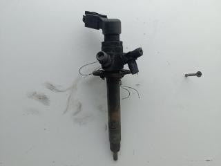 форсунка Peugeot 407 1 поколение 2006, 2.7 л., дизель, АКПП, белый, купе, 5U3Q-9K546-AA