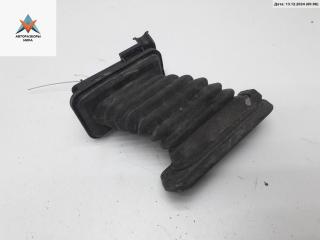 Гофра проводки двери Volkswagen Passat B6 2007, 1.9 л., дизель, МКПП, серый, универсал, 3C0971615