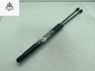 амортизатор крышки багажника (3-5 двери) Dacia (Renault) Sandero I 2009, 1.2 л., бензин, МКПП, белый, хетчбэк 5 дв., 8200735264