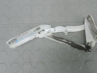 петля капота Mercedes-Benz Sprinter 2 поколение (W906) 2008, 2.2 л., CDI 211/311/411, дизель, МКПП