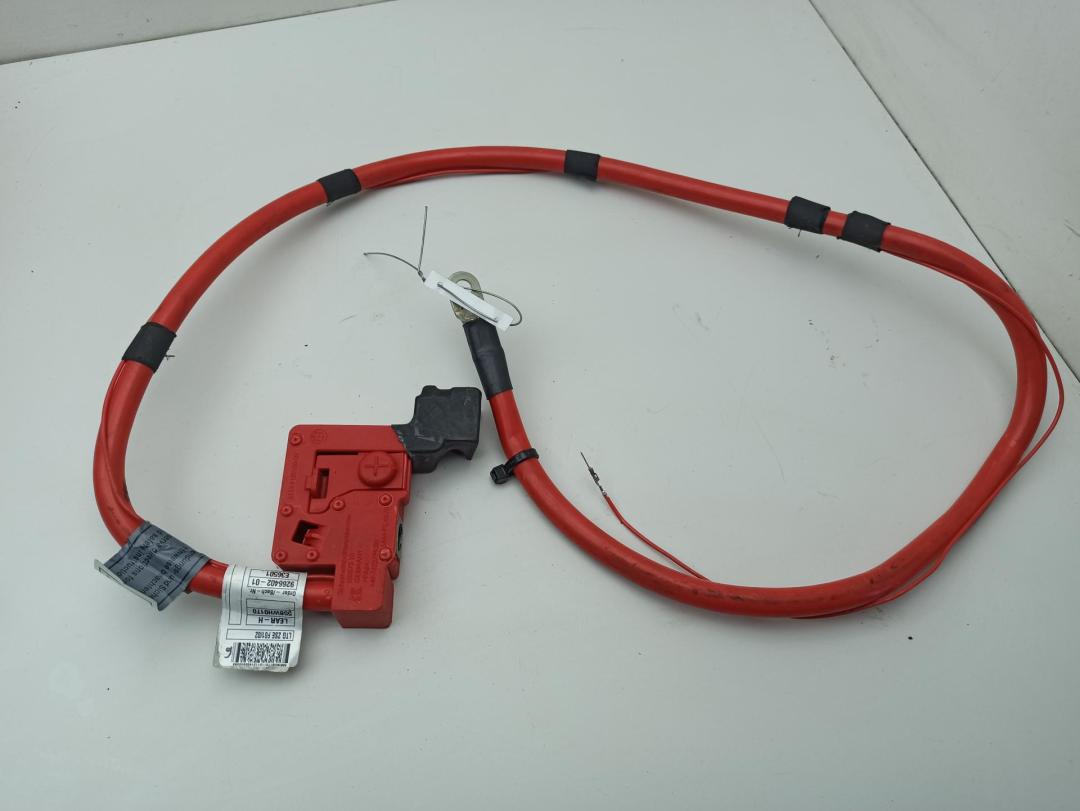 плюсовой провод аккумулятора BMW 7 F01/F02 2012, 3.0 л., гибрид, АКПП, серый, седан, 9266402, 61129266402