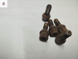 болт колесный Opel Zafira 1 поколение (A) 2002, 1.6 л., бензин, МКПП, серый, минивэн, 10, 9