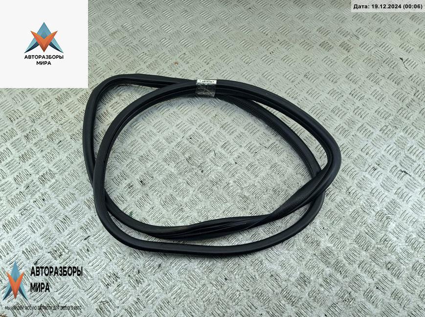 уплотнитель двери Peugeot 406 1 поколение 1997, 2.0 л., бензин, МКПП, синий, седан - фото №1