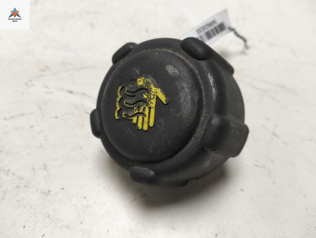 пробка расширительного бачка Renault Scenic 2 поколение 2004, 1.6 л., бензин, МКПП, красный, минивэн, 8200048024 - фото №1