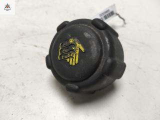 пробка расширительного бачка Renault Scenic 2 поколение 2004, 1.6 л., бензин, МКПП, красный, минивэн, 8200048024