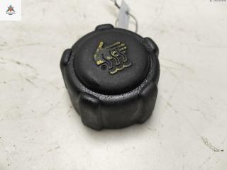 пробка расширительного бачка Renault Megane 2 поколение [рестайлинг] 2007, 1.5 л., дизель, МКПП, серый, хетчбэк 5 дв., 8200048024