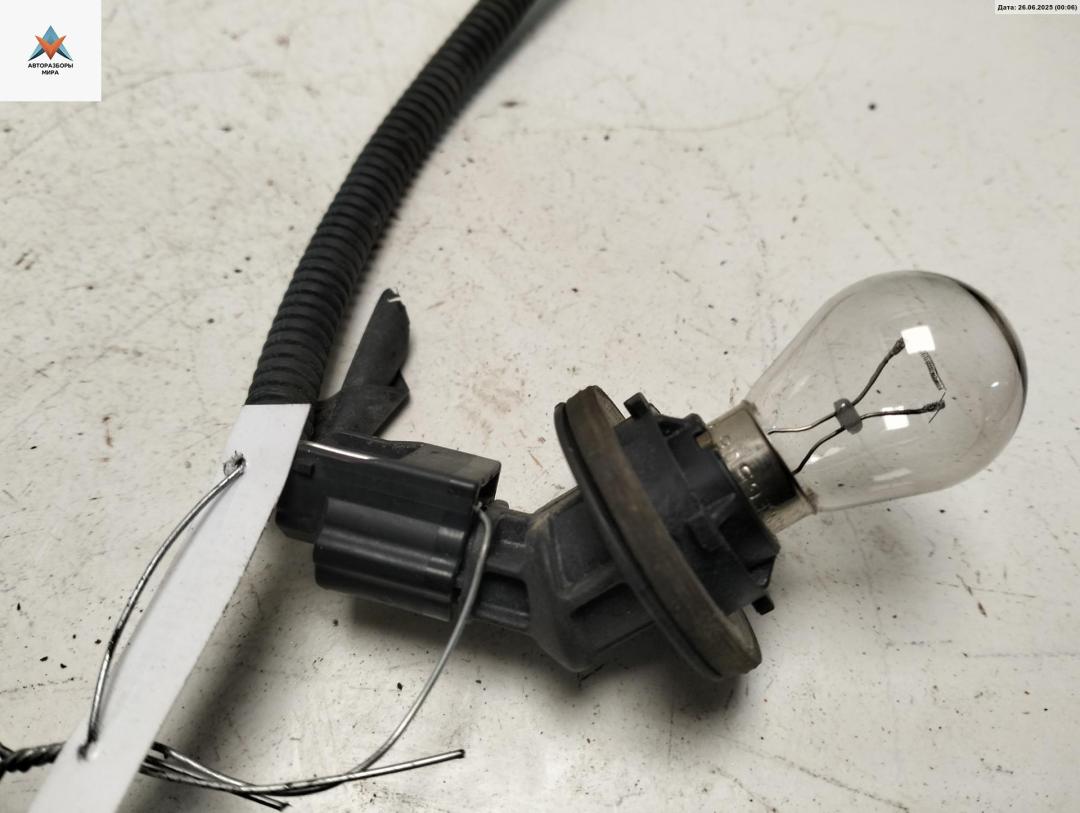 Патрон лампы указателя поворота Renault Modus 1 поколение 2005, 1.2 л., бензин, МКПП, серый, хетчбэк 5 дв. - фото №1