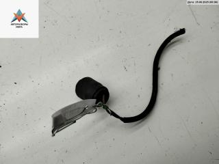 Патрон лампы указателя поворота Volkswagen Passat B5 1998, 1.9 л., дизель, МКПП, синий, седан