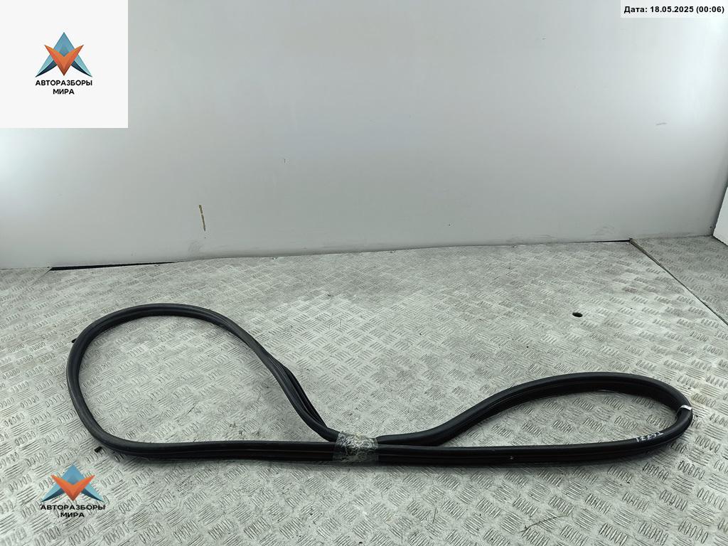 уплотнитель двери Peugeot 407 1 поколение 2005, 3.0 л., бензин, АКПП, синий, универсал, 96584242VD - фото №1