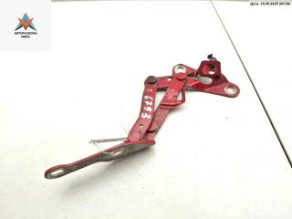 петля капота левая Ford Galaxy 1 поколение [рестайлинг] 2004, красный, минивэн, 7M0823301L