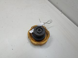пробка расширительного бачка Opel Zafira 2 поколение (B) 2006, 1.9 л., дизель, МКПП, синий, минивэн, 9202799