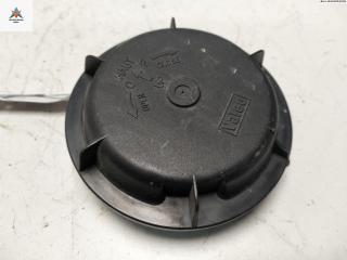 крышка фары Renault Scenic 1 поколение [рестайлинг] 2002, 1.6 л., бензин, МКПП, синий, минивэн, 89001811