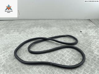 уплотнитель двери Skoda Octavia mk2 (A5 1Z) 2008, 1.9 л., дизель, МКПП, чёрный, хетчбэк 5 дв.