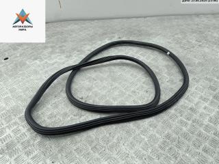 уплотнитель двери Skoda Octavia mk2 (A5 1Z) 2008, 1.9 л., дизель, МКПП, чёрный, хетчбэк 5 дв.