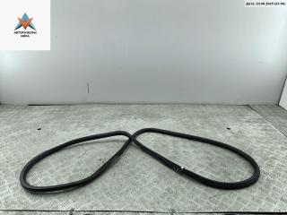 уплотнитель двери Skoda Octavia mk2 (A5 1Z) 2008, 1.9 л., дизель, МКПП, чёрный, хетчбэк 5 дв.