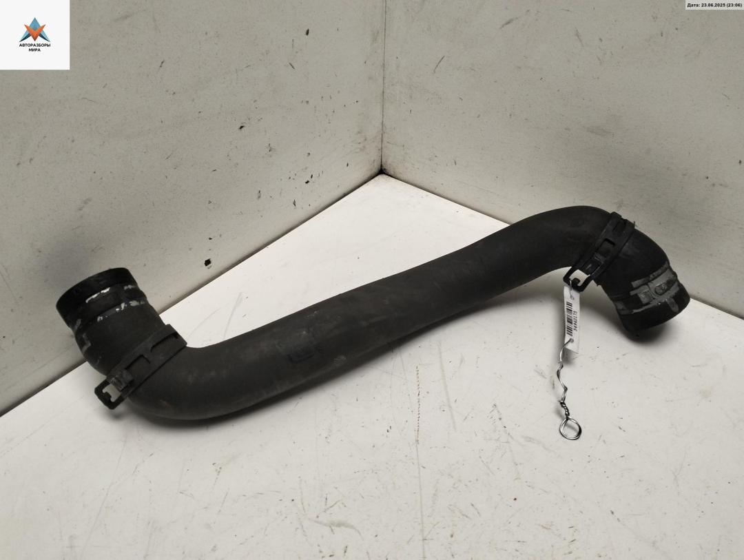 патрубок радиатора Renault Megane 2 поколение 2004, 1.6 л., бензин - фото №1