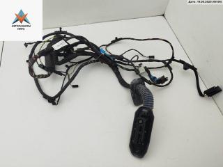 дверная проводка BMW 7 серия F01/F02 [рестайлинг] 2012, 3.0 л., гибрид, АКПП, серый, седан, 9262871, 9262870