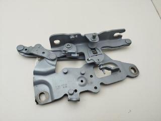 петля капота левая BMW 7 F01/F02 2012, серый, седан, 7250805