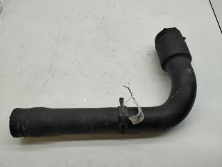 патрубок радиатора Volkswagen Passat B5 1998, 1.6 л., бензин, 8D0121101K