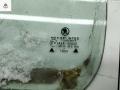 форточка задняя левая Skoda Octavia mk1 (A4 1U) 2000, 1.9 л., дизель, МКПП, зелёный, хетчбэк 5 дв., AS2 - фото №2