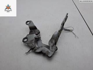 петля капота левая BMW 1 серия E81/E82/E87/E88 [рестайлинг] 2007, серый, хетчбэк 5 дв., 7060559