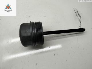 крышка масляного стакана Volkswagen Passat B5 [рестайлинг] 2001, 1.9 л., дизель, МКПП, синий, универсал, 038115433