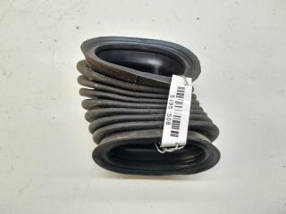 Гофра проводки двери Volkswagen Passat B5 [рестайлинг] 2003, 1.9 л., дизель, МКПП, серый, универсал, 3B0959843