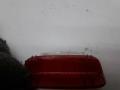 катафот Volkswagen Golf 5 поколение 2006, 2.0 л., дизель, АКПП, красный, хетчбэк 5 дв., 1K0947419 - фото №2