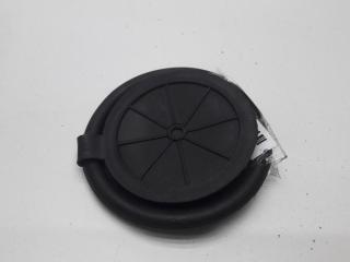 молдинг двери передней правой Volkswagen Passat B5+ (GP) 2003, 1.9 л., дизель, МКПП, синий, универсал, 1J0827417