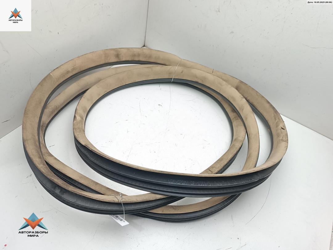 уплотнитель двери Mercedes-Benz M-Class ML W164 2006, 4.0 л., дизель, АКПП, чёрный, внедорожник 5 дв., 1646900198 - фото №1