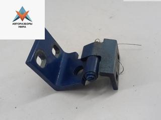 петля двери BMW X5 E53 [рестайлинг] 2003, синий, внедорожник 5 дв., 8265167