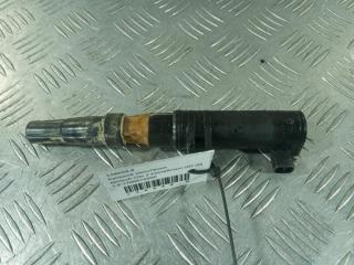 катушка зажигания Renault Clio 2 поколение [2-й рестайлинг] 2003, цвет, 7700875000