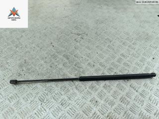 амортизатор капота Opel Vectra C 2003, седан, 24454473