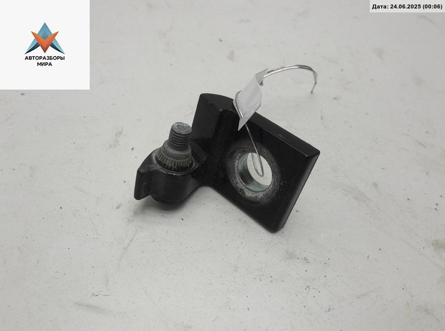 петля двери Skoda Octavia mk2 (A5 1Z) 2008, чёрный, хетчбэк 5 дв. - фото №1