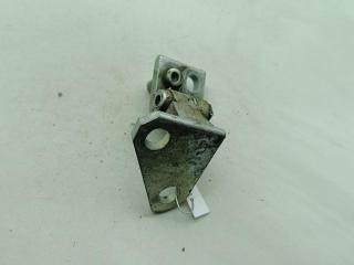 петля двери Volkswagen Golf 5 поколение 2004, серый, хетчбэк 5 дв.
